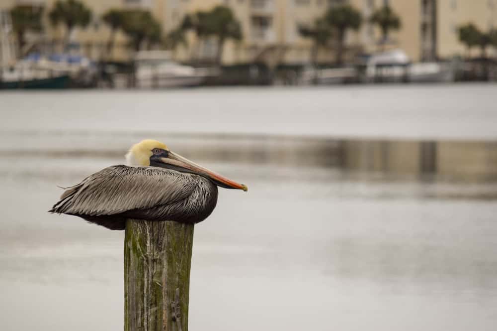 Retire In These 30 Beach Towns For Only $40,000 Per Year